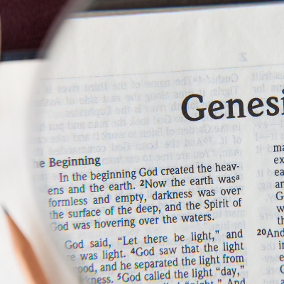 CC Students – Genesis Wrap Up – Intro to Job