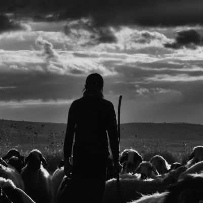 Chapel Time – The shepherd David and his sheep – 1 Samuel 17